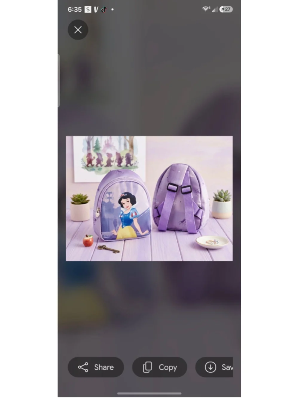 Princess Kid Bag